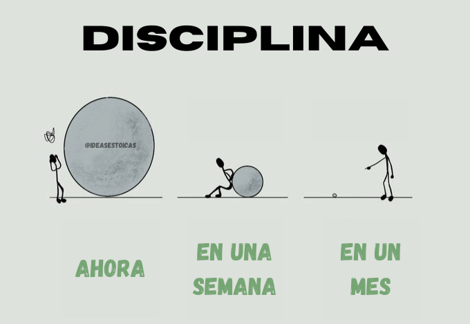 heysergioia's tweet photo. Un pequeño paso cada día.

10 minutos de ejercicio es mejor que nada.

10 páginas de lectura es mejor que nada.

30 minutos de trabajo concentrado es mejor que nada.

Empezará a sumar, hermano. Sigue adelante y sé disciplinado. https://t.co/4JdIAzx4iF