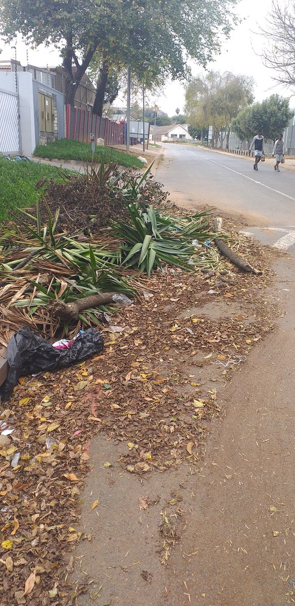 jooste_hans's tweet photo. @CleanerJoburg We have rubble and garden refuse dumped at 11 Maree Str,Bramley Park,lying in the road for more than a week.
Would appreciate it if it can be removed.Thanks https://t.co/G5GHj8UClE