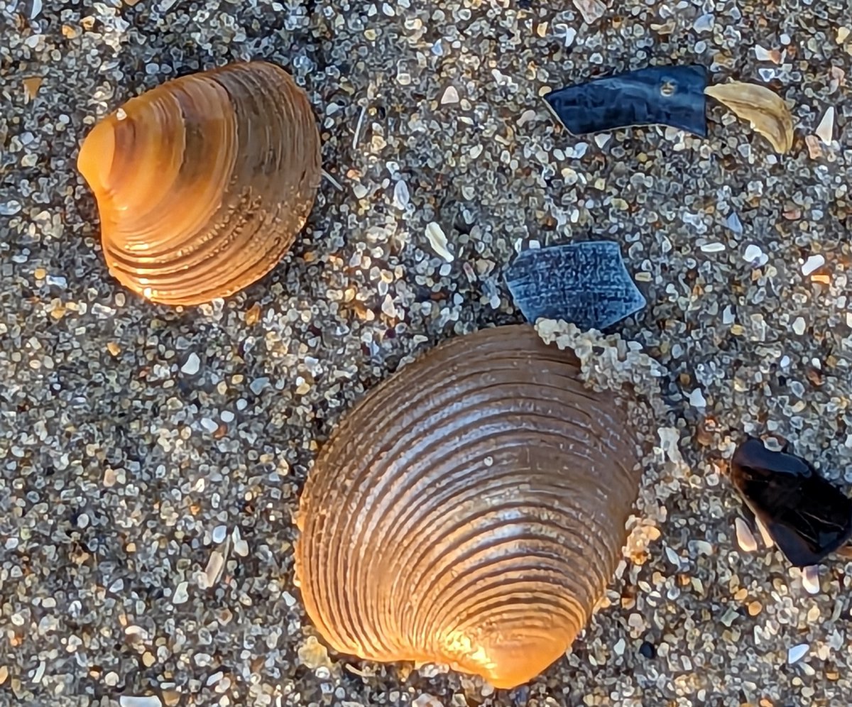 Nog even een paar dagen naar Vlieland?
Lekker wandelen langs het strand of fietsen door de duinen?
#LieverVlieland #Vlieland #mei #Hemelvaart
op-Vlieland.nl/-/mei