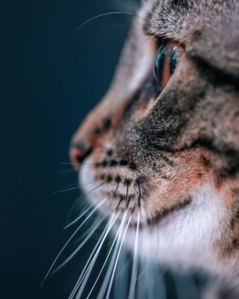 calm before the storm instagr.am/p/CrxokbvMwpH/