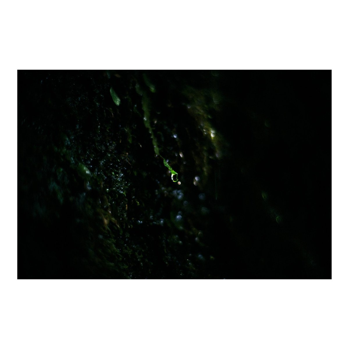 pitapole_pg's tweet photo. 精霊の声を聴こうとした。
--
#snap #planar50mm #eos5dmark2 #captureonepro #cinematographer #lightinthedarkness
https://t.co/STGSHWZP0o https://t.co/vCrIWgzXM9