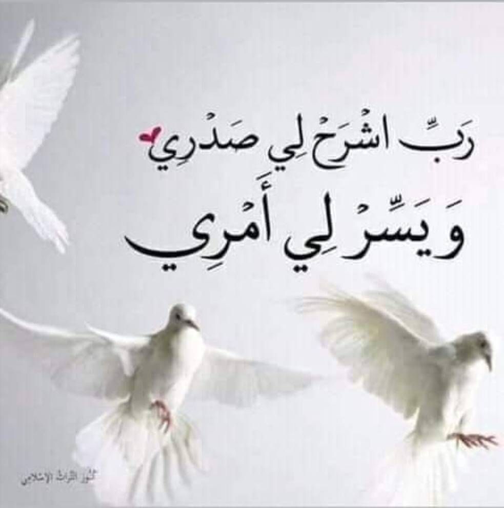 د. زين 🩺 tweet media