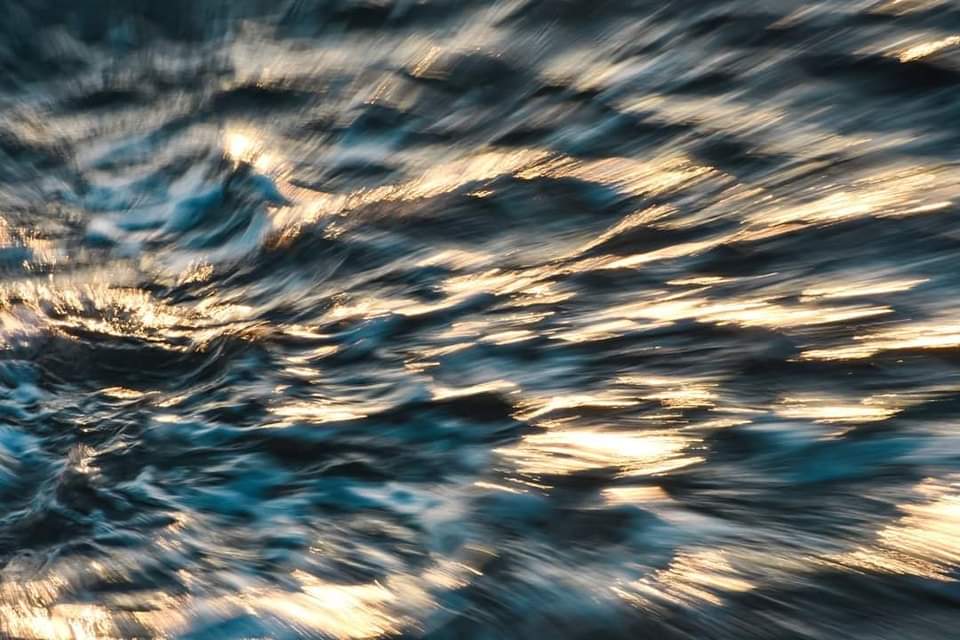 Water and Gold
teresamolinaro.it
#icm #intentionalcameramovement