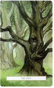 HHMU_Banksia's tweet photo. #MoreTreesPlease
#LordOfTheRings #Oracle
#TheEnts
#LetMeENTertainYEW... #OneFamilyTREE
#IDWP-#IDeclareWorldPeace https://t.co/Ej01220tWq