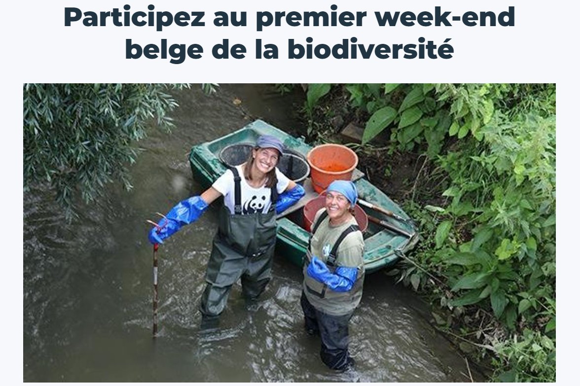 Les 20 et 21 mai, rejoignez-nous pour le premier Week-end de la #Biodiversité !🌳
📍12 projets en Flandre, Wallonie et Bruxelles
❓35 activités pour découvrir la nature belge et retrousser ses manches pour la rendre florissante🍃
Plus à lire sur <a href="/RTBF/">RTBF</a>➡️ rtbf.be/article/partic…