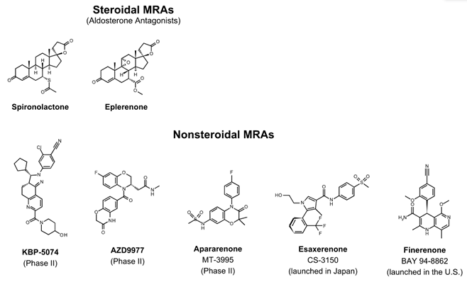 ckd_ce's tweet photo. 8) There are two distinct groups of #MRAs: #steroidal MRAs, and the newer, distinct, #nonsteroidal MRAs
๐ https://t.co/TdYXPS9aUt https://t.co/J2mljbY9vd