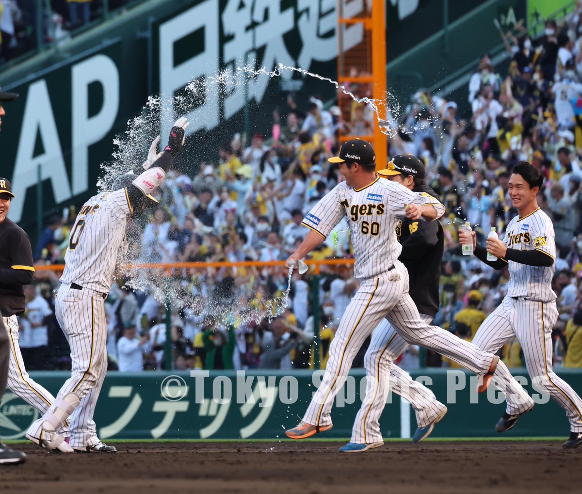 tospophoto's tweet photo. 【プロ野球】2023年5月3日
阪神X中日

今日のヒーロー
#木浪聖也 

#タイガース #Tigers #阪神タイガース #東スポ https://t.co/8fhnQ0gQrT