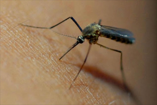 SAfmRadio's tweet photo. [ICYMI] In today's #HealthFeature, we commemorated #WorldMalariaDay that took place this past weekend &amp; discussed how medical innovation can contribute to eliminating mortality rates. We are joined by Prof. Tiaan de Jager of @UPTuks on #SAfmTalkingPoint with @KGMoeketsi https://t.co/hSGGUDuopW