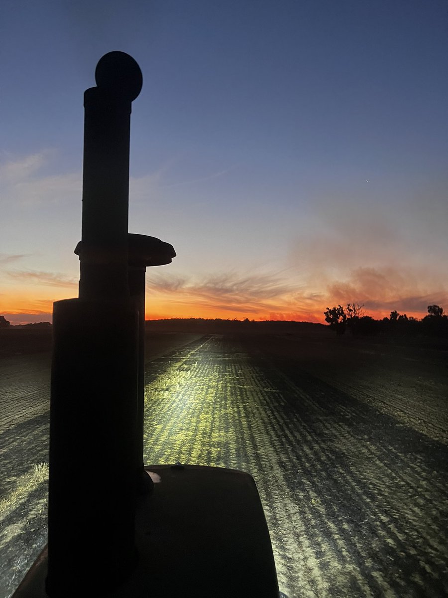 burgess_ag's tweet photo. Just bloody magic!! #seeding23 https://t.co/eMxLjigYiN