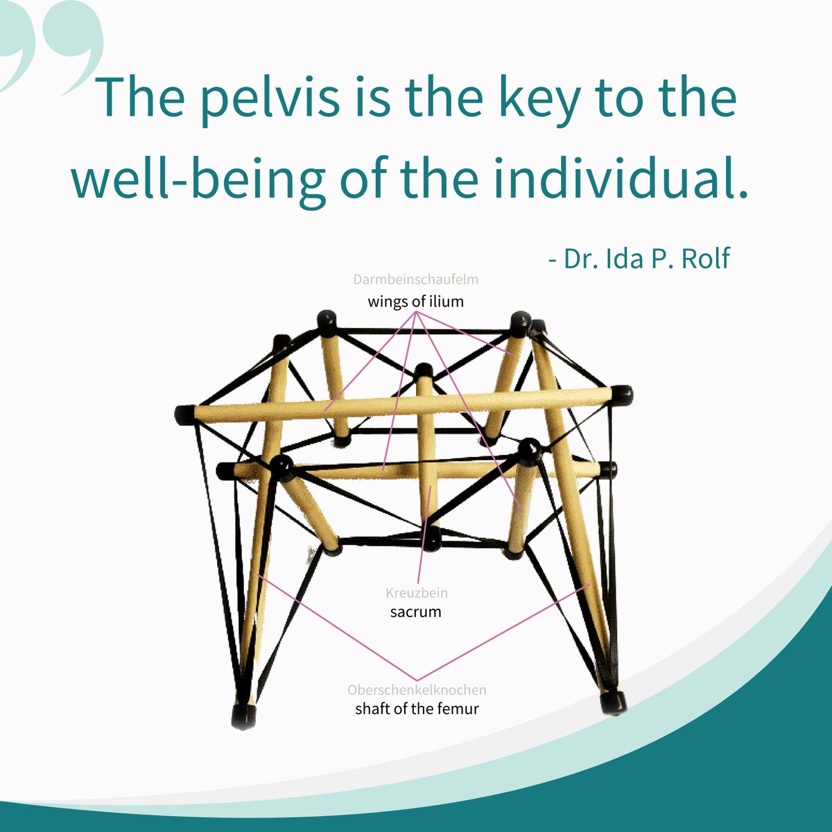 EURolfingAssoc's tweet photo. Read our blogpost on the Tensegrity Model of the pelvis and its implications for Rolfing® Structural Integration - https://t.co/5rKrsBgnfh

#tensegritymodel #pelvis #rolfing #rolfer https://t.co/z9AGKbsl64