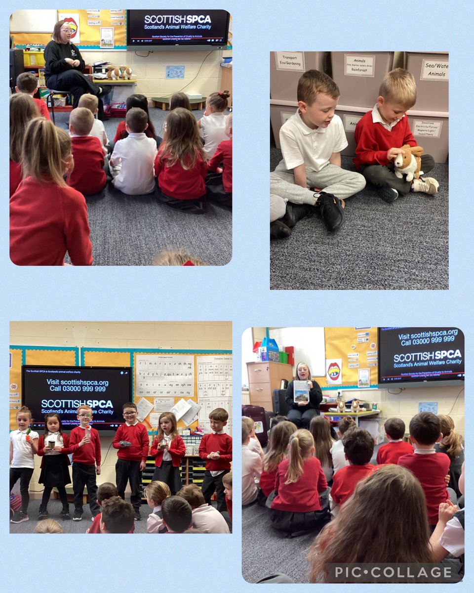 AitkenheadS's tweet photo. This morning Primary 1 were excited to have a special visit from the @ScottishSPCA. We learned lots about how to keep rabbits healthy, happy and safeπ°. #AnimalWISE #ScottishSPCA https://t.co/2Vy4yO7OXm