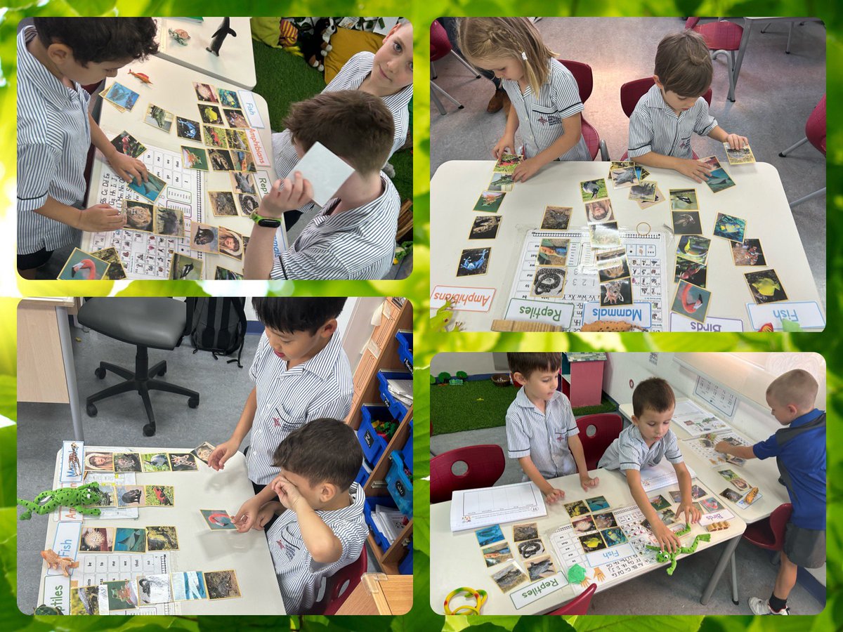 DBS_Yr1's tweet photo. 1B have been busy in science this week learning how to group animals. 

We learned which characteristics help us to categorise mammals, birds, reptiles, fish and amphibians. 

Could YOU do it? We can, ask us to help!

Science #BeginsatDBSEH @DubaiBritishEH @DBS_PriScience https://t.co/H8gGoo1xwW