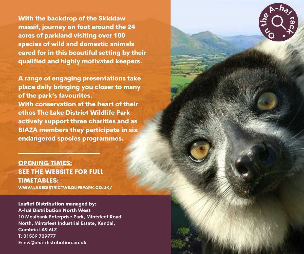 It’s great to have the opportunity to work with such an eclectic range of clients in the lake district area – one is which is The Lake District Wildlife Park.

If you would like to advertise in the Lake District, get in touch with us today!

aha-distribution.co.uk/contact/