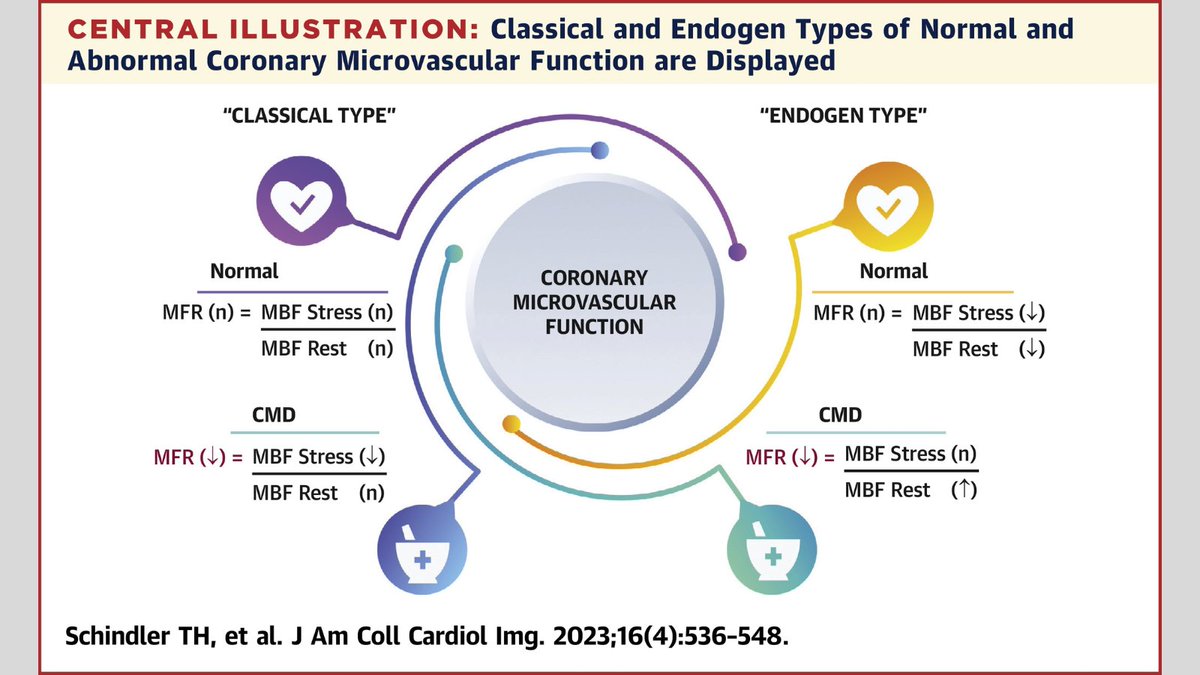 #JACCIMG provides a state-of-the-art review of #cvNuc myocardial perfusion PET for #coronary microvascular dysfunction: bit.ly/3KFx9hV

#cvPET #cvCAD #cvImaging #CardioTwitter 
@h_hellmut