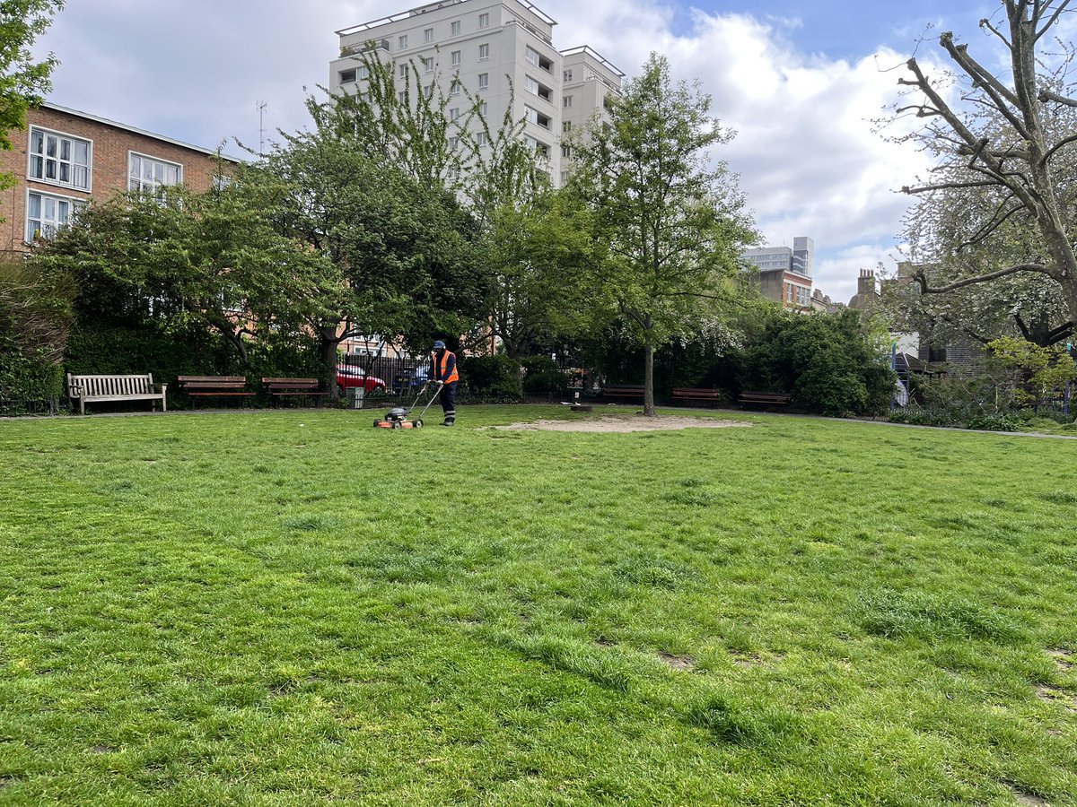 Could @IslingtonBC get the No Mow May Memo please @CarolineRussell @RowChampion twitter.com/citywestminste…