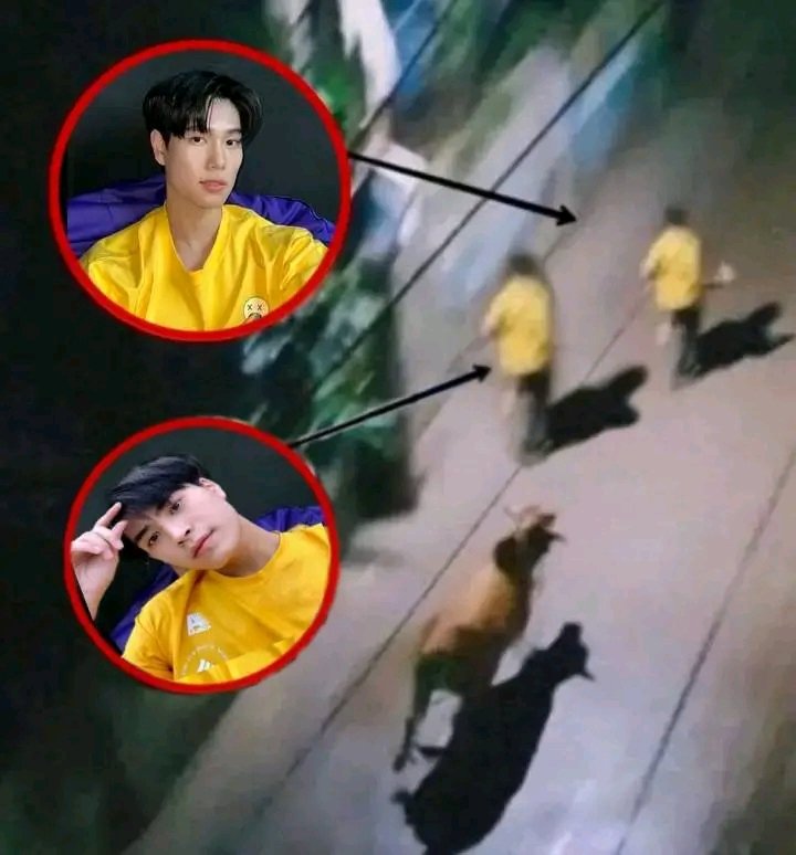 koetphan's tweet image. Phuwin and Gemini caught on camera hinahabol ng kalabaw.
