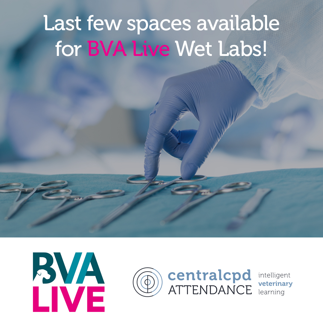 CentralCPD's tweet photo. ⭐️Wet Labs with @VetShow at BVA Live – one week to go!⭐️

There are still a few spaces available for our Wet Lab sessions at BVA Live, next Thursday 11th and Friday 12th May at the NEC Birmingham!

Book now: https://t.co/eB7cNQy3Cb

#Veterinary #VetCPD #VetNurse #VetMed https://t.co/oxSIp9iegf