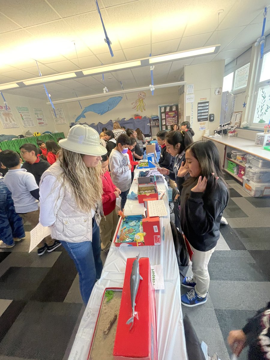 ms_schaefer_136's tweet photo. 4th grade’s first annual “Biome Day” was a success!  Room 136 had an amazing time teaching their peers about animal adaptations found within the ocean. 🦀🐳🪼🦑🐋🦈 https://t.co/vmOntfBbUt