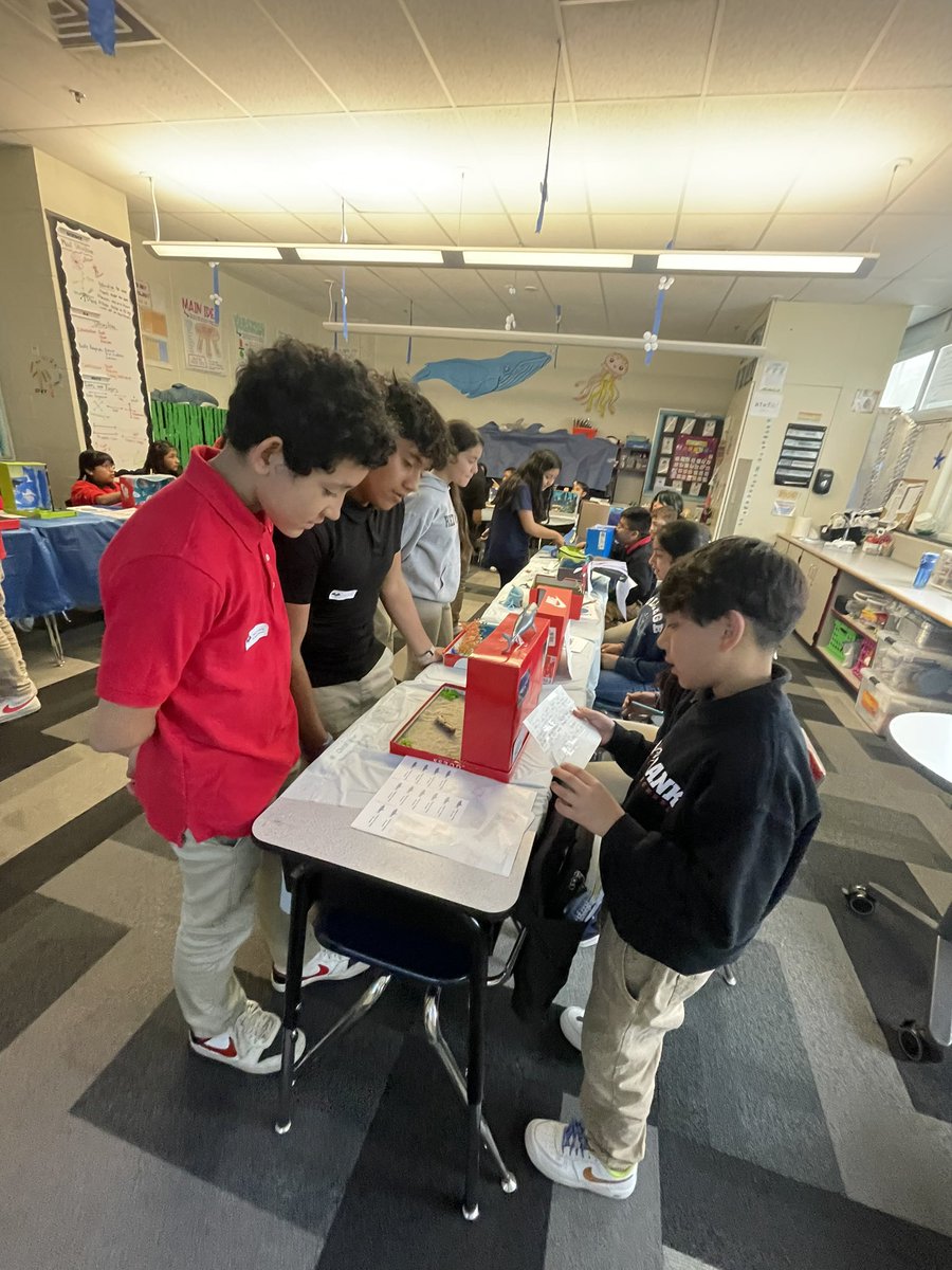 ms_schaefer_136's tweet photo. 4th grade’s first annual “Biome Day” was a success!  Room 136 had an amazing time teaching their peers about animal adaptations found within the ocean. 🦀🐳🪼🦑🐋🦈 https://t.co/vmOntfBbUt