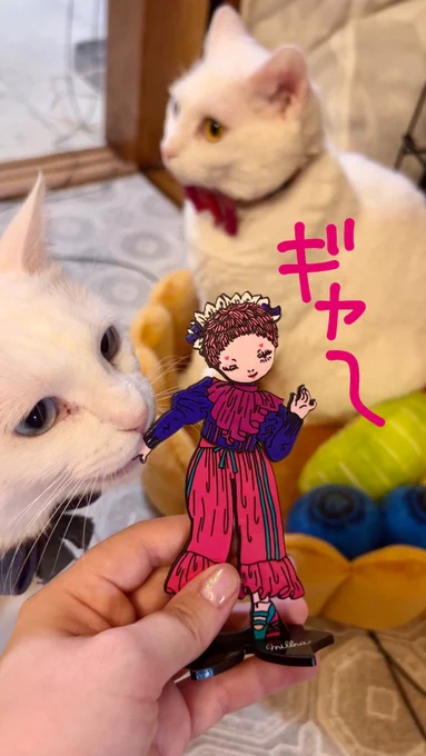 アクスタめちゃ売れて目ん玉飛び出てます!!お高いのにありがとうございます!!でもウルトラ超かわいいもんな〜〜自慢のかわいさ GWから実店舗  でも実物展示するんで、まず遊んでみたいよって方はどうぞ〜!!!!