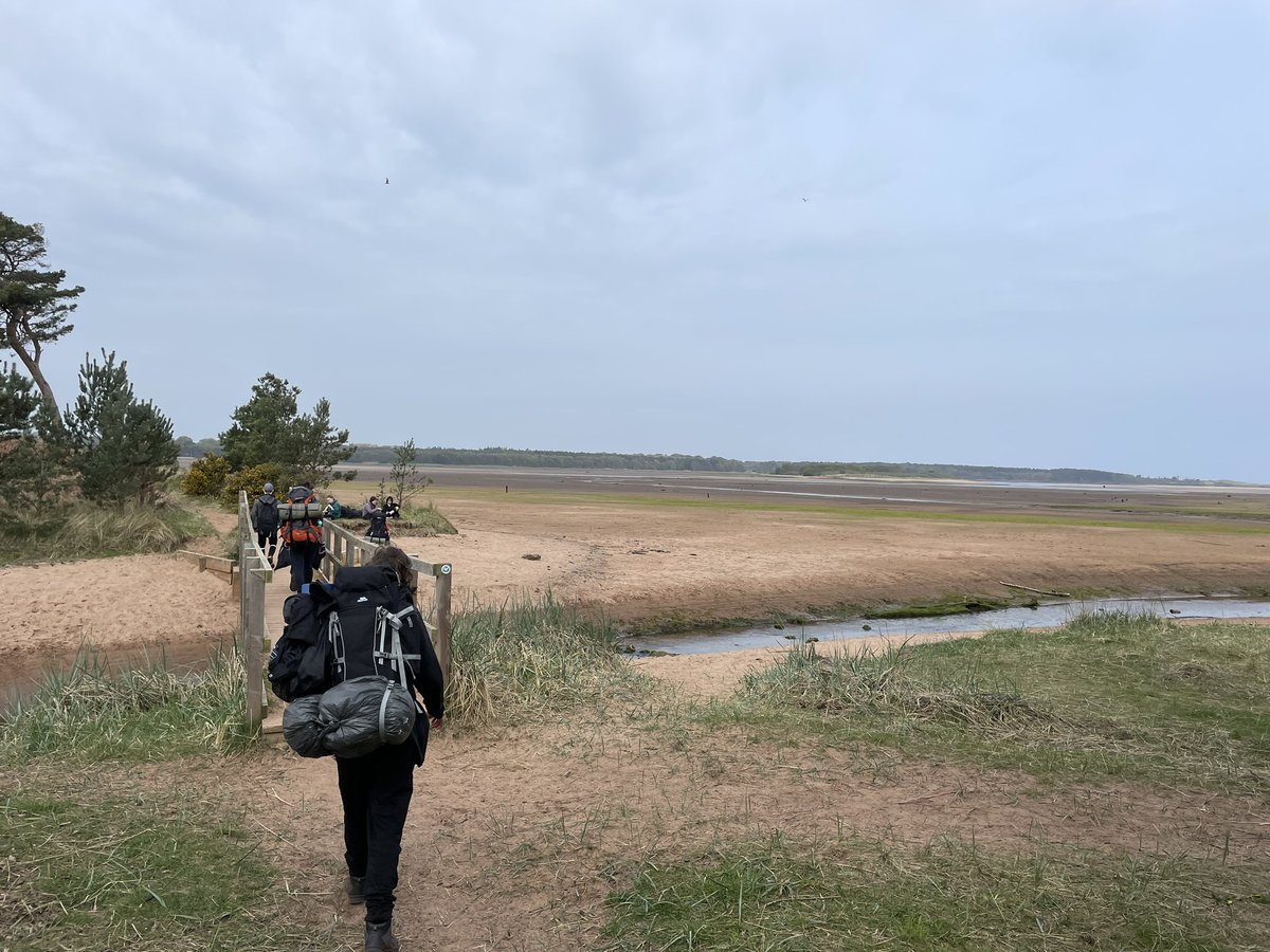 MGS D of E tweet media