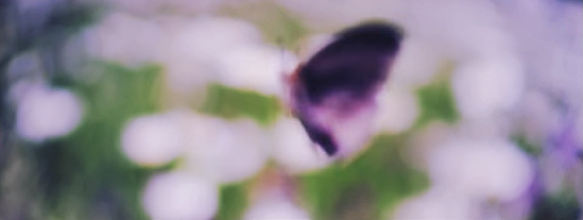 NatuMarryyou's tweet photo. 4wallsのツイート見かけて、
恋しくなる季節がまた来たなぁ、と思う

4wallsとViewの儚くて美しすぎる世界観が
大好きすぎてずっと囚われている https://t.co/rL20afvAbD
