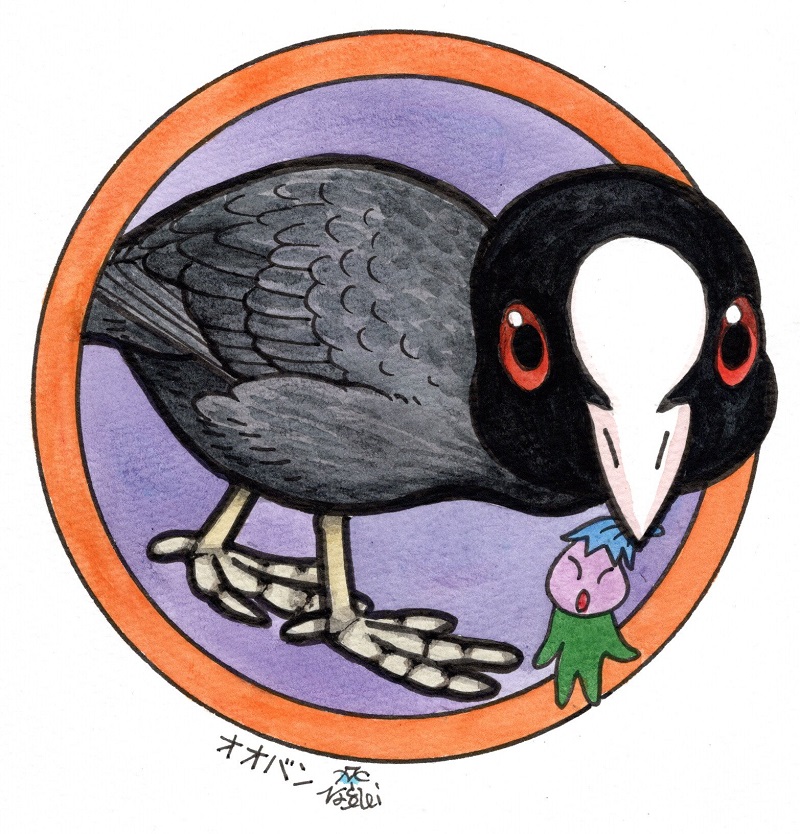 「白い額(額板)、赤い目、平べったい足指(弁膜)の不気味な鳥、オオバン。」|富士鷹なすびのイラスト