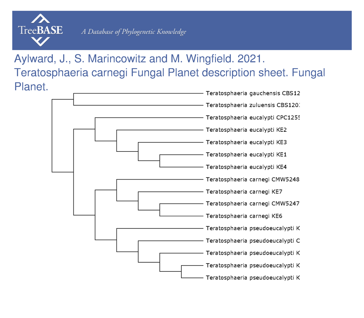 treebase's tweet photo. Janneke Aylward and colleagues shared their data with #TreeBASE on May 03, 2023. #FungalPlanet

https://t.co/z1WoqZW01w https://t.co/UcHKfYXBwb