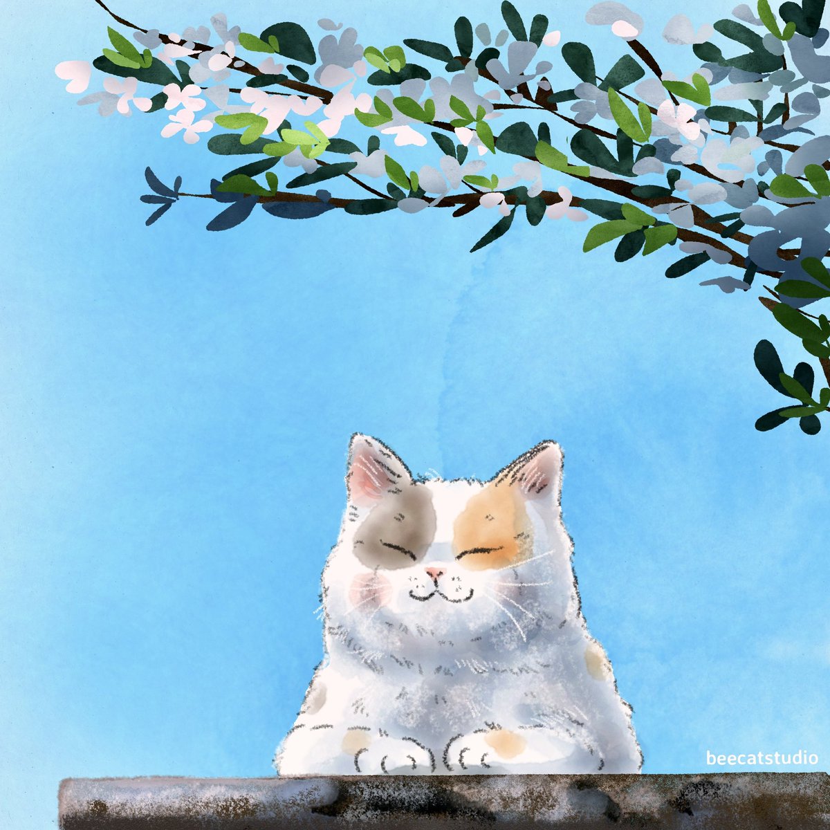 Beecat tweet media