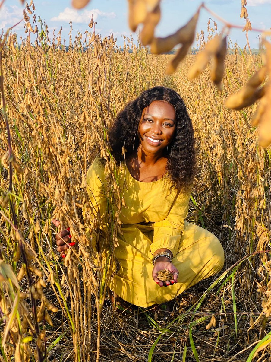 SokoCindy's tweet photo. Fadzai Mahere was busy running around with football clubs flags while other women were busy focusing on winter wheat. I'm trying to educate @advocatemahere zvinoita kuti abudirire  muupenyu semunhukadzi but some CCC supporters vanofunga kuti kumuvenga. https://t.co/8hhEne3SZ0