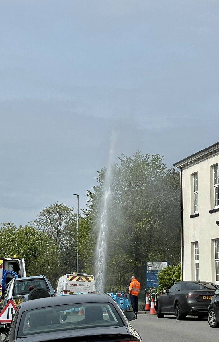 Robert Lloyd tweet media