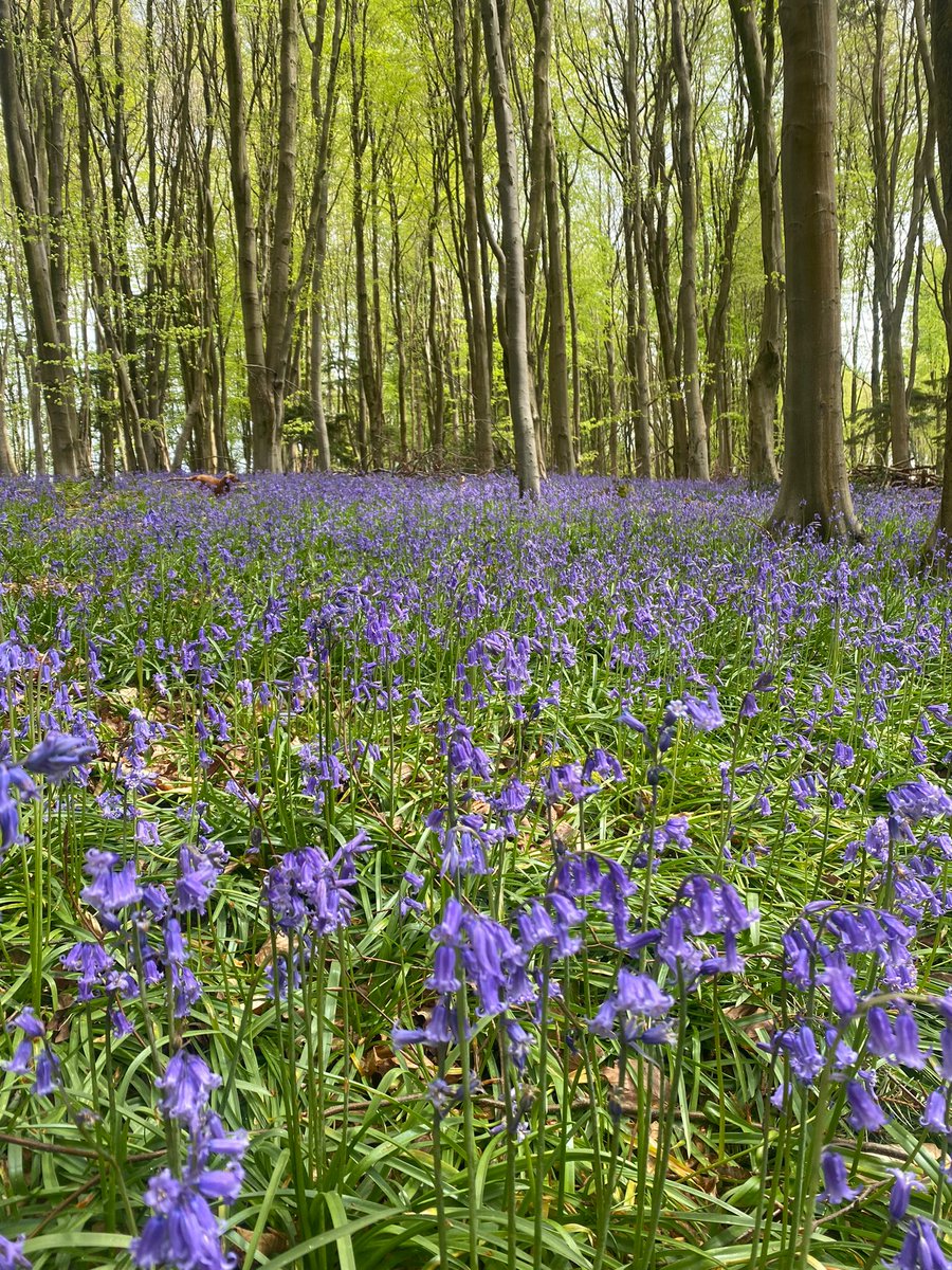 May in lovely Hampshire. Why not have a break and visit some beautiful places? Comfortable accommodation at strawberrycottage.co.uk