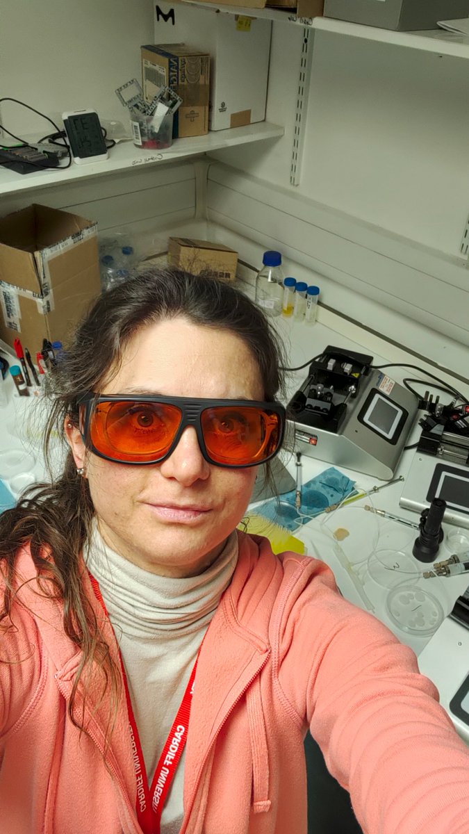 TiramiScience's tweet image. Oggi presentiamo un altro componente del nostro team: Alessia (@Af86Bio)
Lavora nell’ombra coi noi da oltre un anno occupandosi dei nostri profili social #Facebook ed #Instagram, vive un po’ in Trentino e un po’ Cardiff, attualmente lavora nel campo della #BiologiaSintetica.