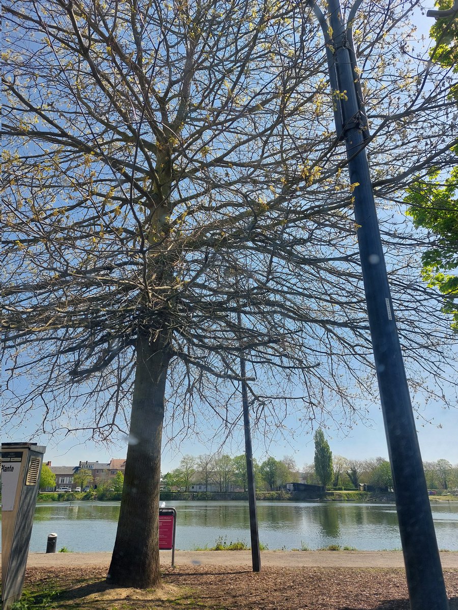 fromWwithlove's tweet photo. Namur 🌞❤️ https://t.co/fjnw4DLX21