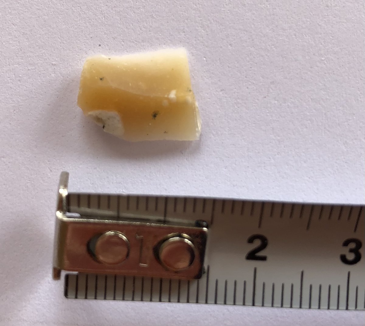 Mesolithic Deeside tweet media