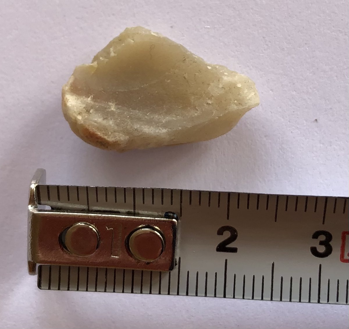 Mesolithic Deeside tweet media