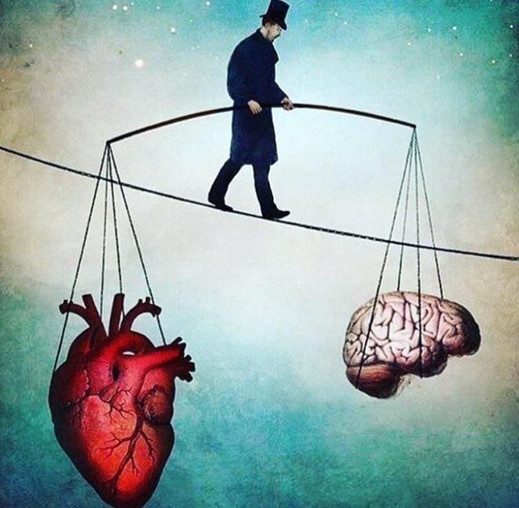 thejoshuablee's tweet photo. GM🔥❤️Heart + 🧠Brain = 💥BOOM💼🚀! Find the balance, unlock the secret sauce &amp; transform your biz!🤯 #HeartMindPower #WorkLifeWizards🧙‍♂️ #IntegratedLife #famiLEE 🌟🔑 https://t.co/OrFLDojP0P