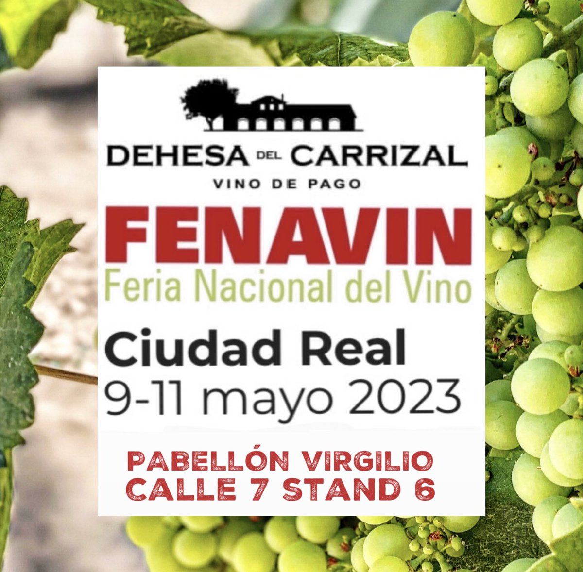 Todo preparado para <a href="/Fenavin_Oficial/">Fenavin Match</a> 2023, una de las Ferias más importantes del mundo del vino que se celebrará en #CiudadReal del 9 al 11 de mayo. Pásate por nuestro stand y conoce todas las novedades de nuestros vinos. Pabellón Virgilio. Calle 7. Stand 6
¡Te esperamos!