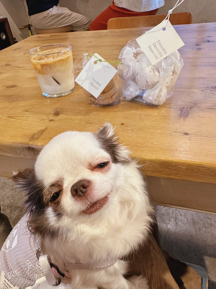922_riaru's tweet photo. It's so cuuuuuuuuuuuuuute!!!!!!!!!!!!!!!!!
#Itssocute https://t.co/Q7Xf6aHkEf