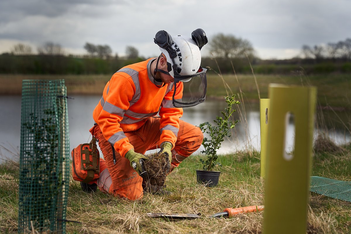 GroundControlGC's tweet photo. Enhancing highways with trees is one of the many #biodiversity schemes we pioneer for UK infrastructure.
 
Recently, we planted 4000+ native trees and shrubs with Carnell, on plots bordering the A1(M) near Leeds - all part of National Highways' ‘Northern Forest Project’. https://t.co/yTMU6uY1ha