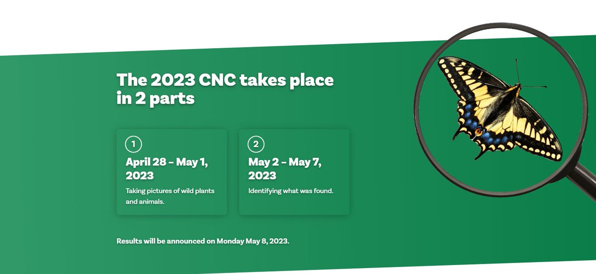 And that's a wrap the recording part of #CityNatureChallenge! A huge well done to all the cities that took part this year 👏

But it's not over yet, until Sunday 7 May you can keep uploading your photos taken during the challenge and help other people identify their sightings! 🔍