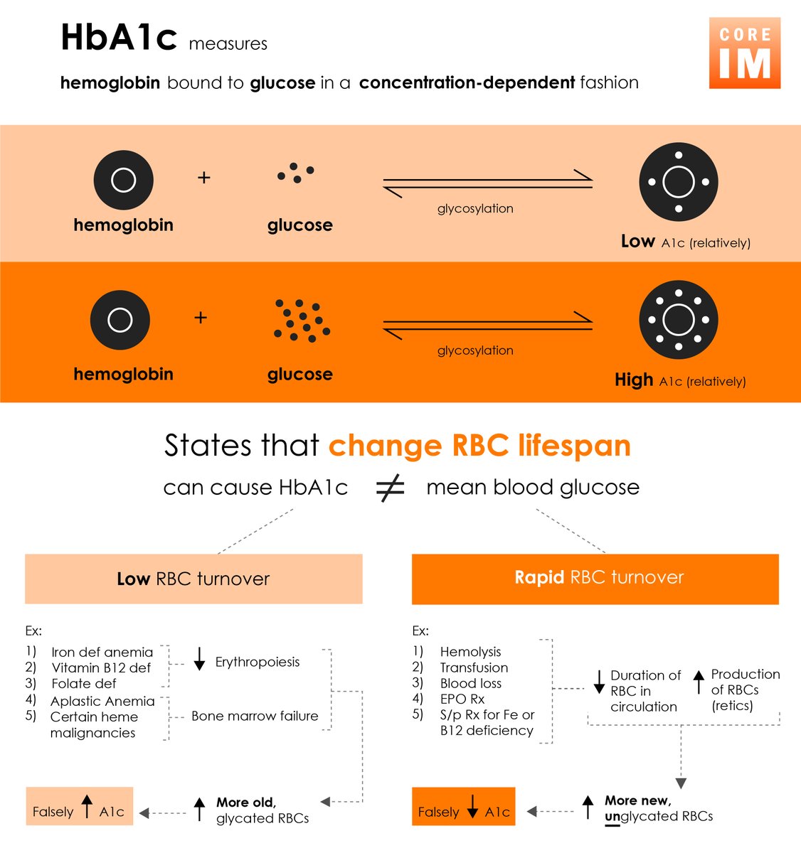 COREIMpodcast's tweet photo. 🚨#MindTheGap: HbA1c & Glucose Measurements🚨
What does the #A1c really measure? What are its limitations?🧐
Who are the new "kids" on the block and how do they work? #Fructosamine #GlycatedAlbumin #CGM
🎧: https://t.co/egk1RnrLNg
📒: https://t.co/46Ff8rgh2E https://t.co/md7YURVeHt