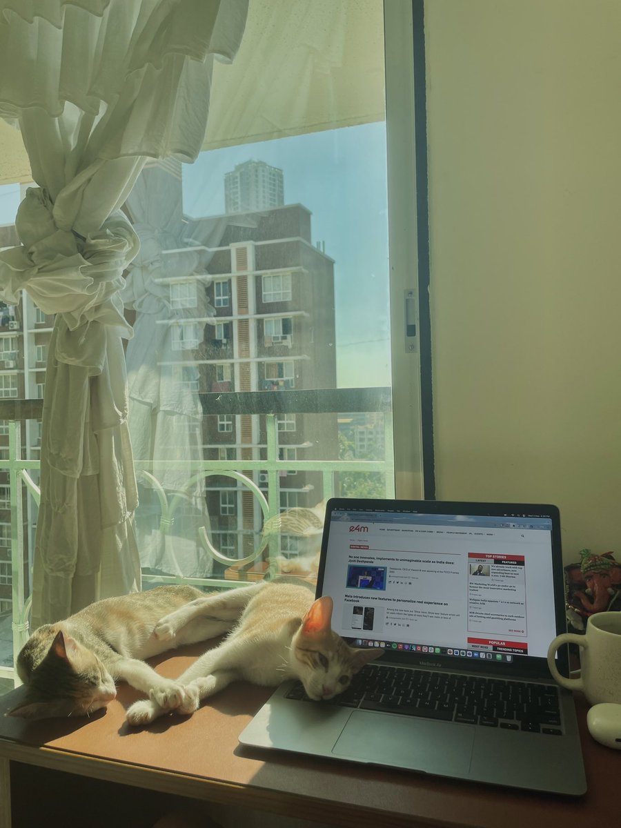 fewtastymorsels's tweet photo. How can one feel lazy and content at the same time while working?
Here’s how. 🫠
#WFH #CatHome #AdWoman https://t.co/kXKPt4gZTw