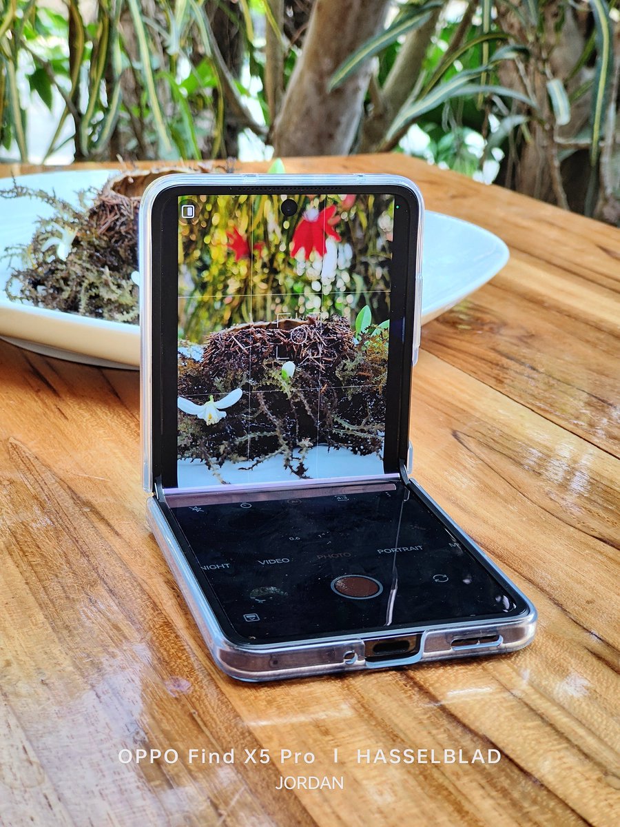 JordanMacadaeg's tweet photo. Sea urchin☺️🌊🦪🐡
Unlocking a creative camera world! As a normal phone shot, flexform camera mode and the photography at the angle of my #OPPOFindN2Flip
#OPPOAmbassadors #FlipCreativity
#Tripodbyyourside
#OPPOFlipCreativity
##SeeMoreInASnap #TripodKiller #ShotonOPPO https://t.co/PwfzwneyyP