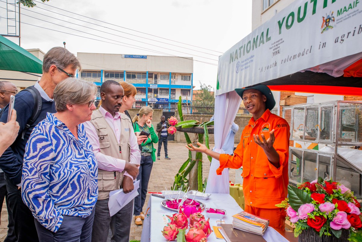FAOUganda's tweet photo. #Day3 of the #FlexibleVoluntaryContribution mission in 🇺🇬: We are hosting a mini-exhibition at our offices, showcasing some of the work, actions  &amp; technologies being implemented to
👉boost #FoodSecurity,
👉 foster #ClimateAction, &amp;
👉promote #YouthEmployment. https://t.co/zbg1VAbIKX
