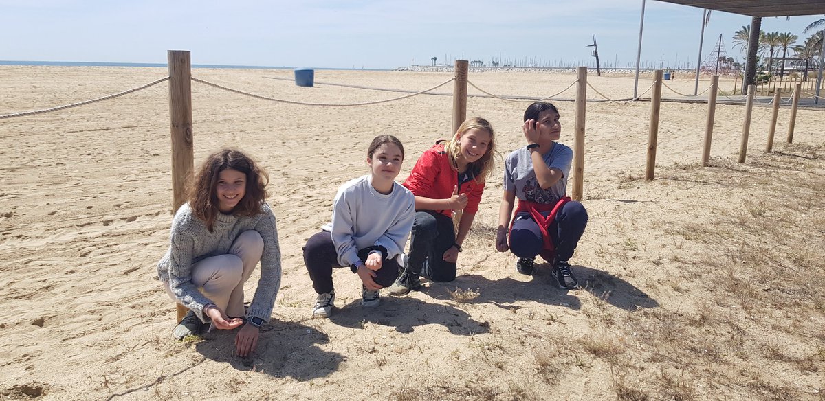 yemax1980's tweet photo. L'alumnat de 1r i 2n d'ESO de l'optativa d'Escola Verda @InsThos fent una acció climàtica, naturalitzen les platges i les dunes. https://t.co/PD1zBZa8Tc