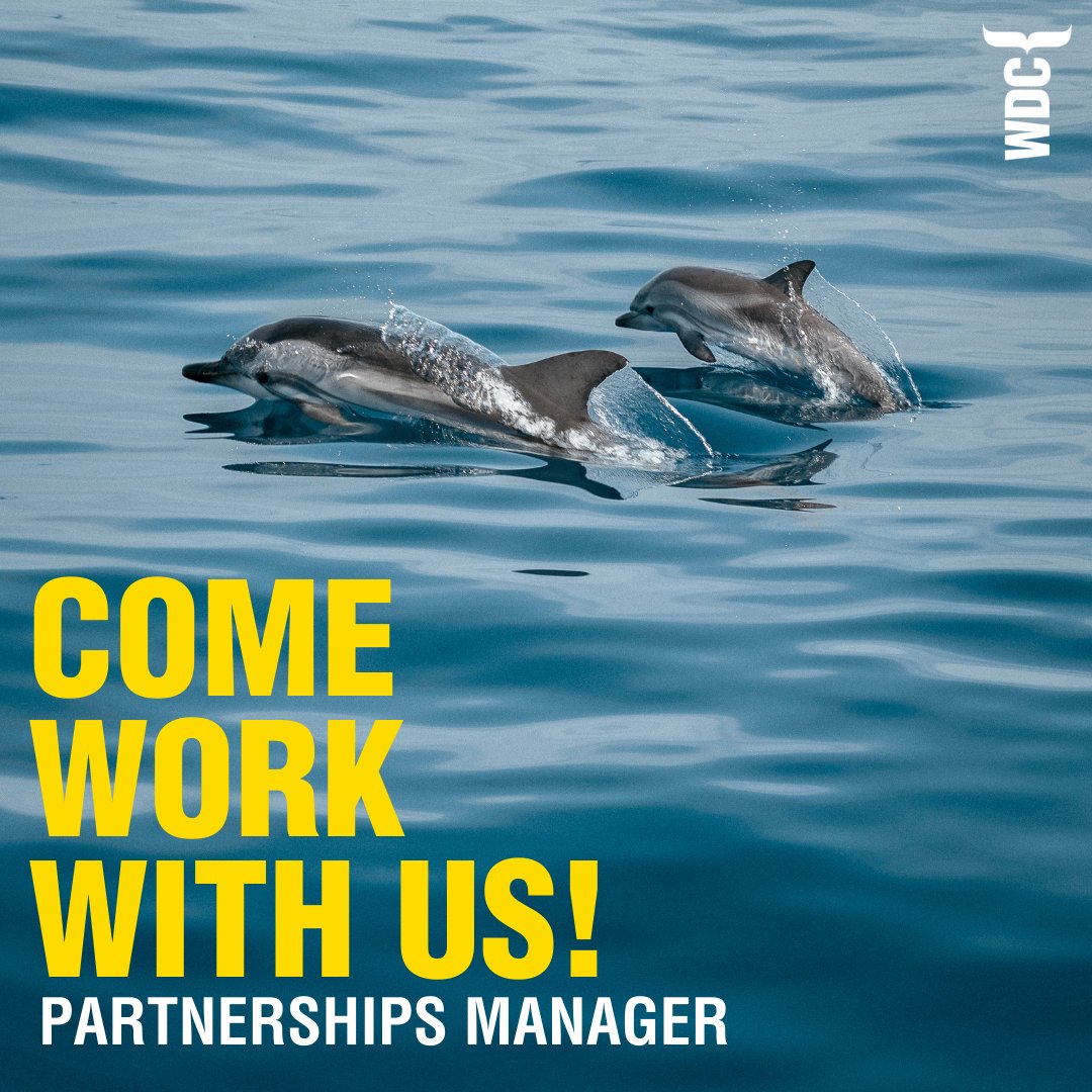 whalesorg's tweet photo. We are on the look out for a #partnershipmanager! Do you have great #relationship #management skills? Understand how organisations like WDC can enable a wide range of #partners to deliver our organisational goals? Then we want to hear from you! 👉  https://t.co/bQUd55Ag23 https://t.co/0Wck1JtCMw