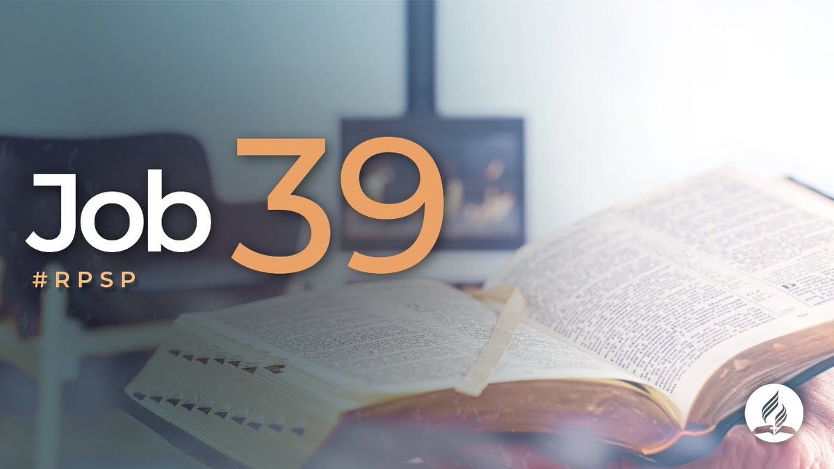 JOB 39:17
"Porque le privó Dios de sabiduría, y no le dio inteligencia".
#PrimeroDios
#rpsp