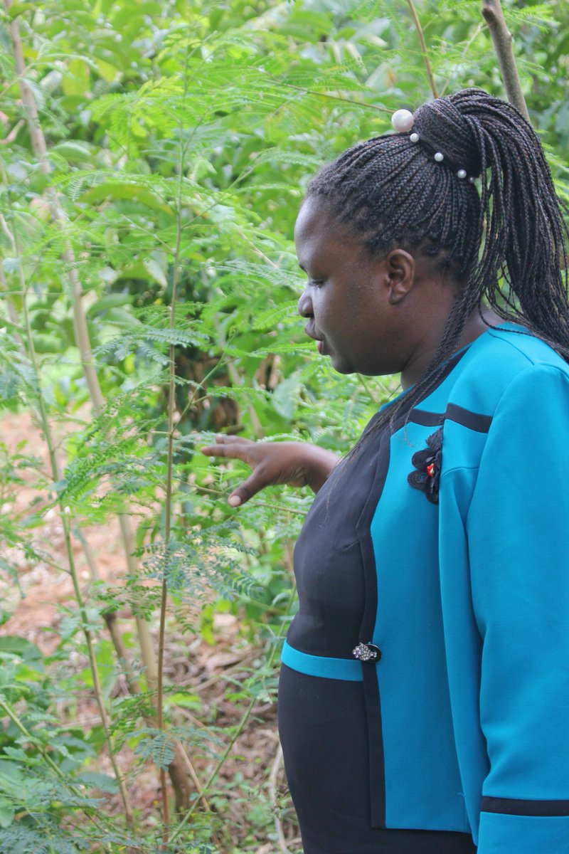 RedefiningTro's tweet photo. Our #WCW today is #ReginaAsinde
Mother,writer,poet and Country Director of #LERWA - Land and Environmental Rights Watch Africa Ltd a not for profit organization that focuses on facilitating local communities understand their needs in as far as land and environment is concerned https://t.co/BsVFg3XIdR