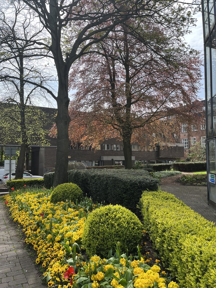 NU_Landscape tweet media